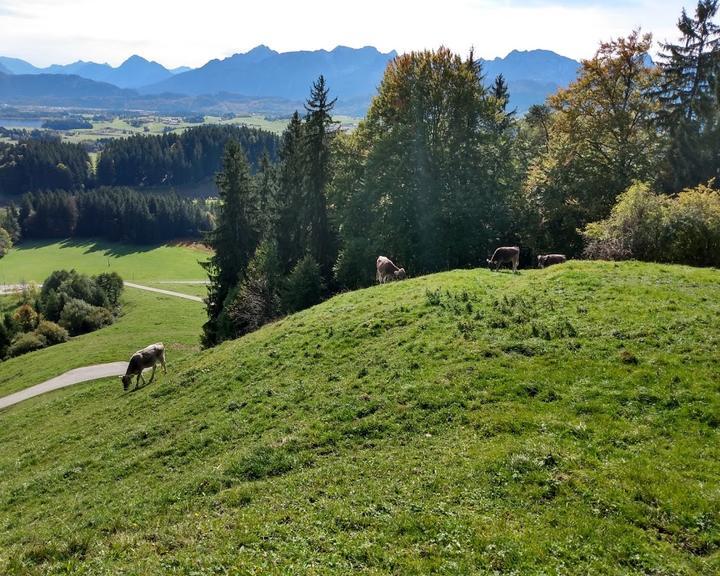 Alpe Beichelstein Erwin Kopf